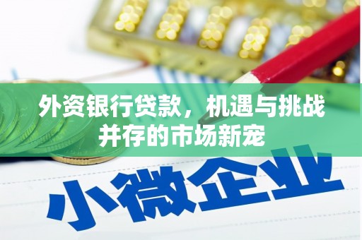 西港外资银行贷款，机遇与挑战并存的市场新宠