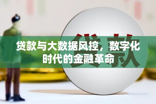 西港贷款与大数据风控，数字化时代的金融革命