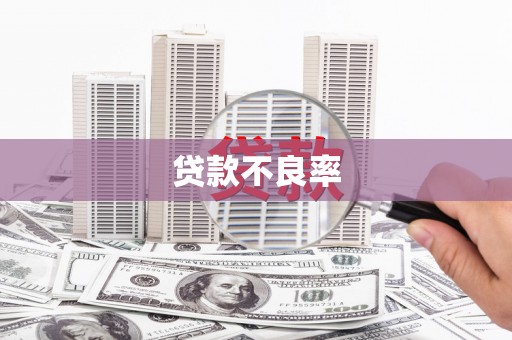西港贷款不良率