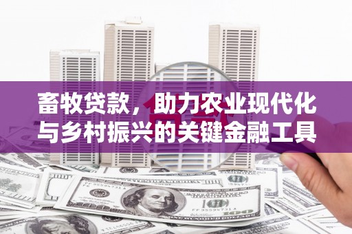 西港畜牧贷款，助力农业现代化与乡村振兴的关键金融工具