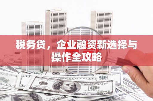 西港税务贷，企业融资新选择与操作全攻略