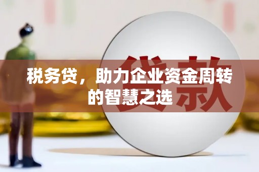 西港税务贷，助力企业资金周转的智慧之选