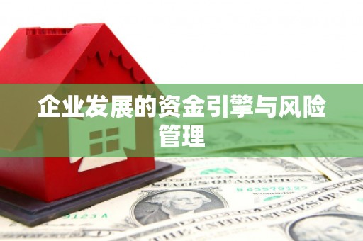 西港企业发展的资金引擎与风险管理