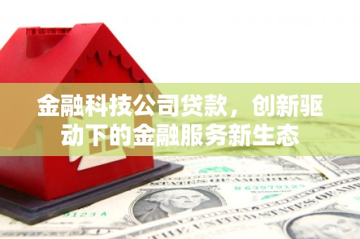 西港金融科技公司贷款，创新驱动下的金融服务新生态