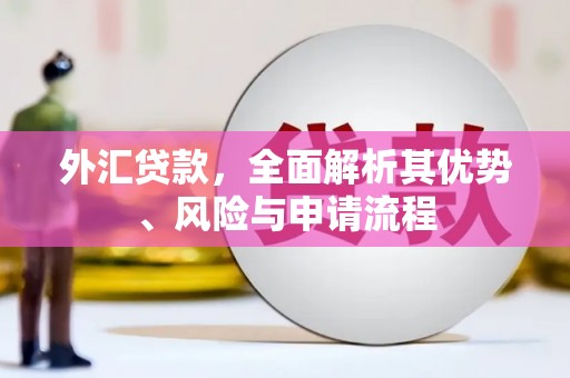 西港外汇贷款，全面解析其优势、风险与申请流程