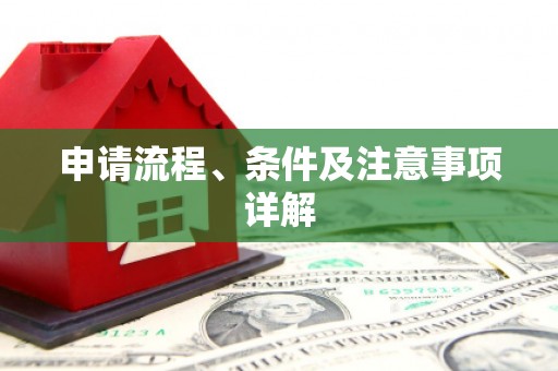 西港申请流程、条件及注意事项详解