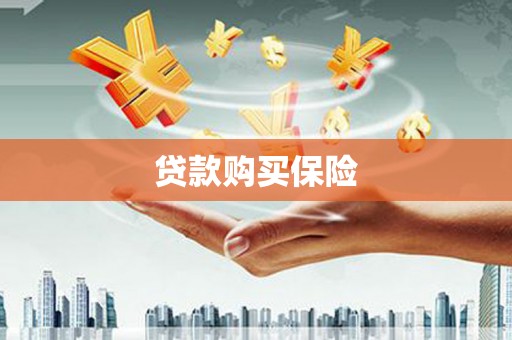 西港贷款购买保险