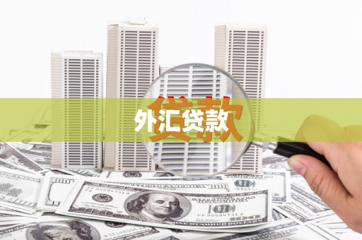 西港外汇贷款