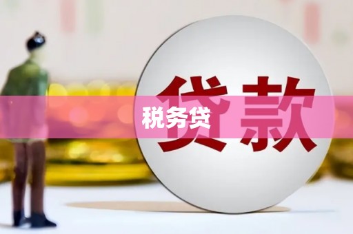 西港税务贷