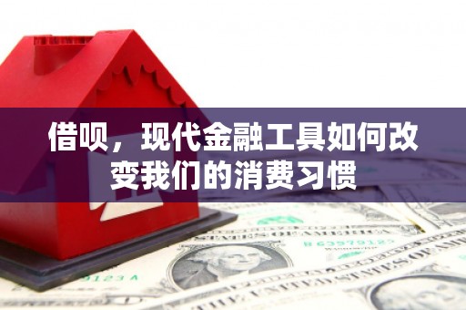 西港借呗，现代金融工具如何改变我们的消费习惯