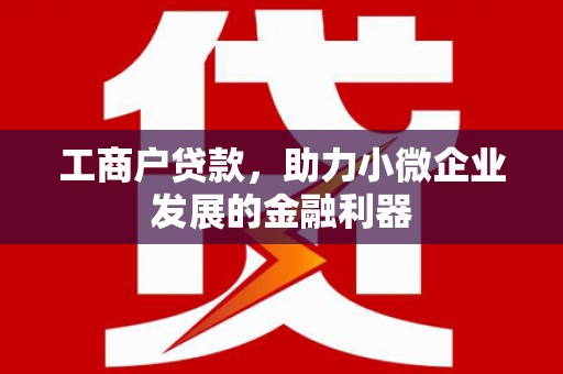 西港工商户贷款，助力小微企业发展的金融利器