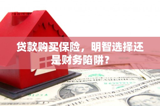 西港贷款购买保险，明智选择还是财务陷阱？
