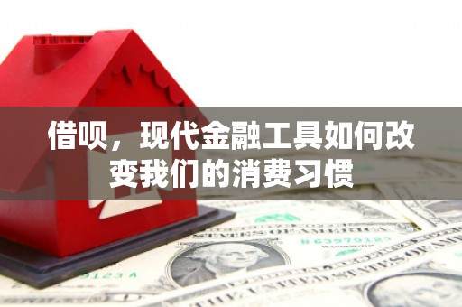 西港借呗，现代金融工具如何改变我们的消费习惯