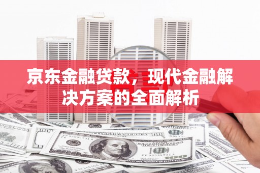 西港京东金融贷款，现代金融解决方案的全面解析