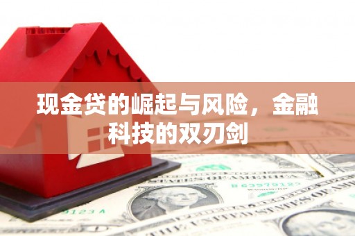 西港现金贷的崛起与风险，金融科技的双刃剑