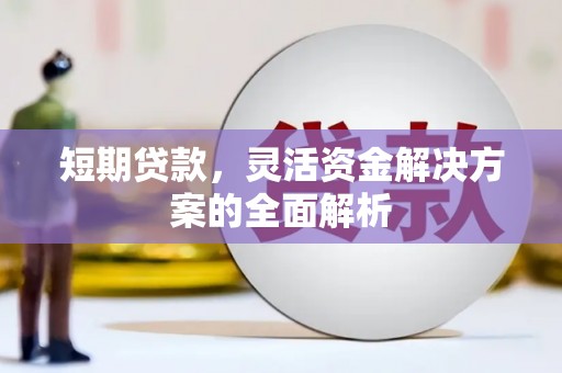 西港短期贷款，灵活资金解决方案的全面解析