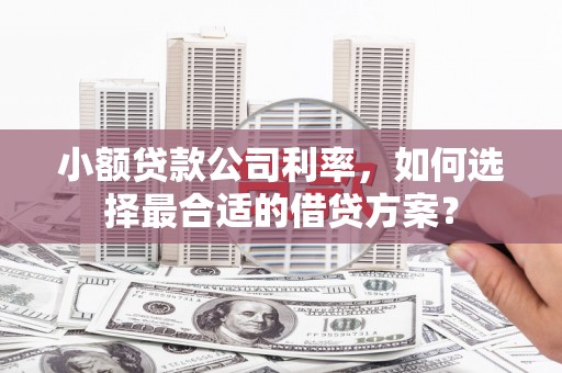 西港小额贷款公司利率，如何选择最合适的借贷方案？