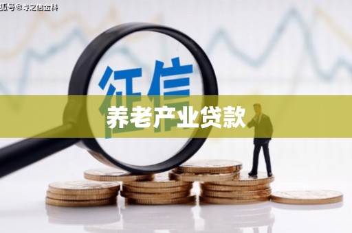西港养老产业贷款