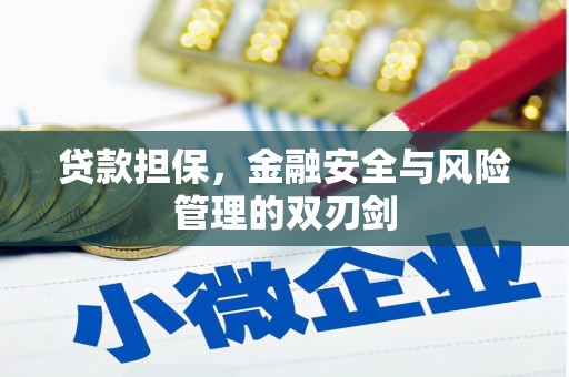西港贷款担保，金融安全与风险管理的双刃剑