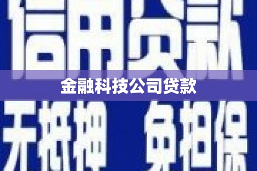 西港金融科技公司贷款
