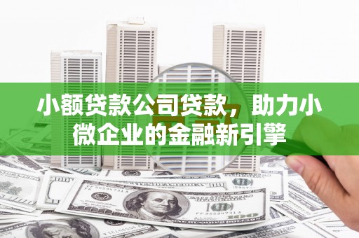 西港小额贷款公司贷款，助力小微企业的金融新引擎