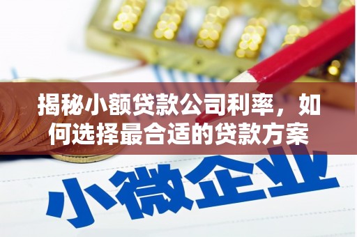 西港揭秘小额贷款公司利率，如何选择最合适的贷款方案