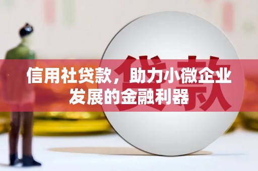 西港信用社贷款，助力小微企业发展的金融利器