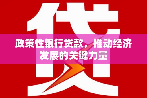 西港政策性银行贷款，推动经济发展的关键力量