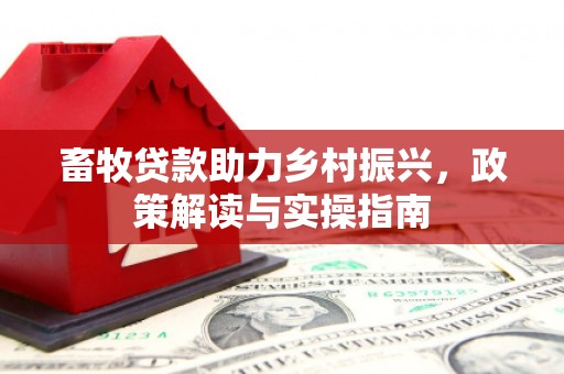 西港畜牧贷款助力乡村振兴，政策解读与实操指南