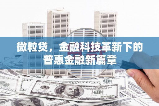 西港微粒贷，金融科技革新下的普惠金融新篇章