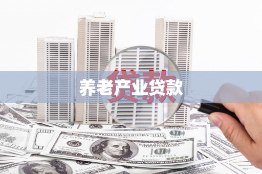 西港养老产业贷款