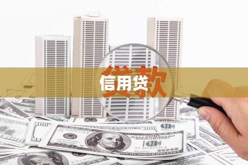 西港信用贷