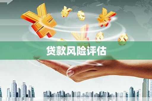 西港贷款风险评估