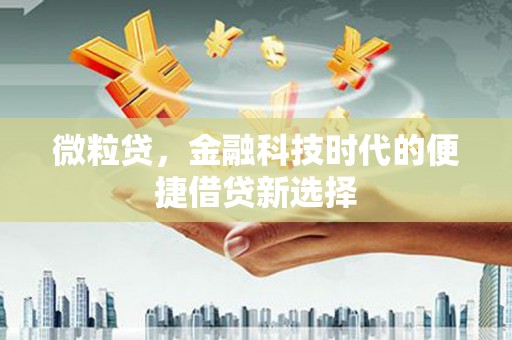 西港微粒贷，金融科技时代的便捷借贷新选择