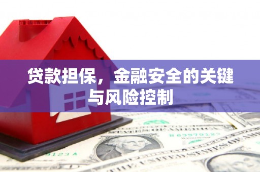 西港贷款担保，金融安全的关键与风险控制