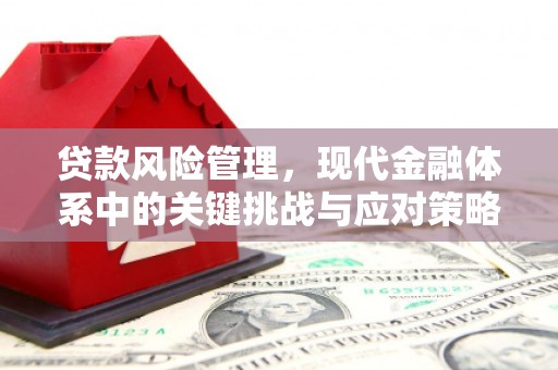西港贷款风险管理，现代金融体系中的关键挑战与应对策略