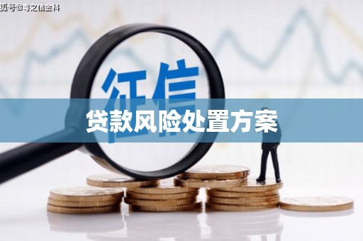 西港贷款风险处置方案
