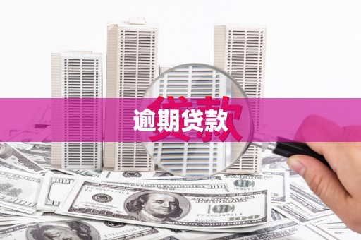 西港逾期贷款