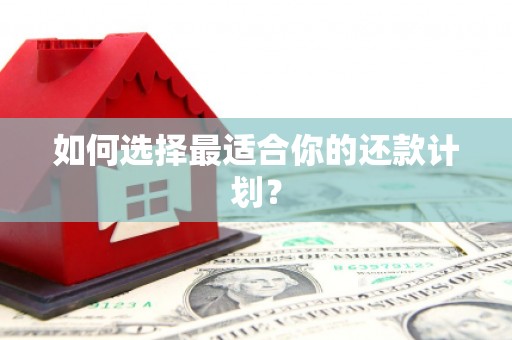 西港如何选择最适合你的还款计划？