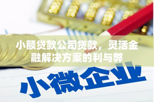 西港小额贷款公司贷款，灵活金融解决方案的利与弊